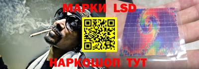 индика Нальчик
