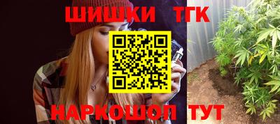 индика Нальчик