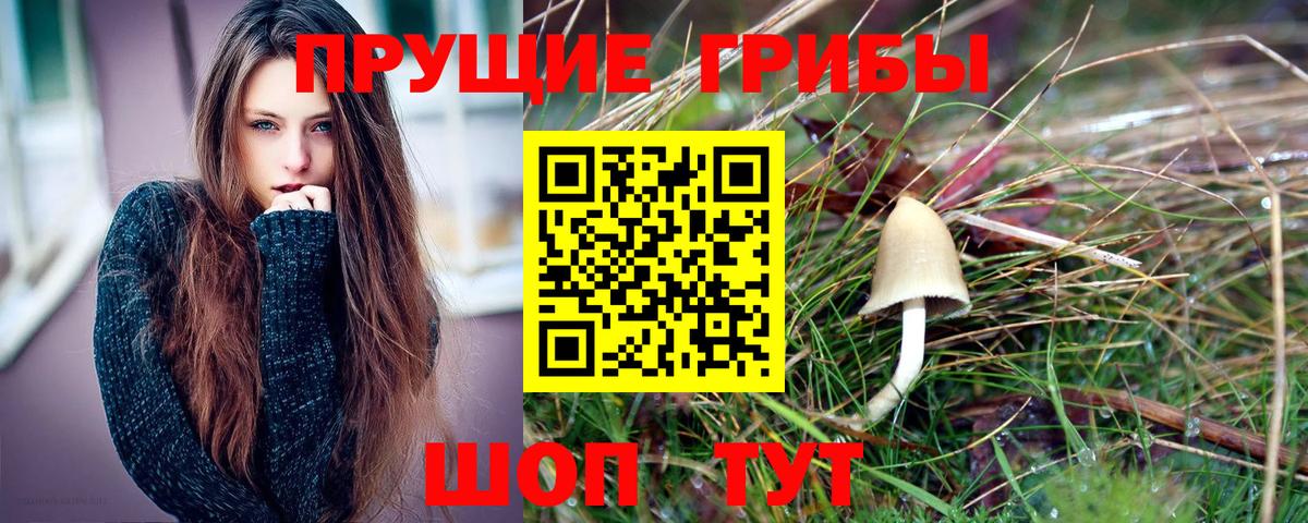 Галлюциногенные грибы Cubensis Реж