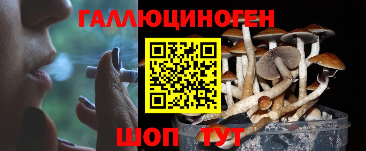 Реж  Галлюциногенные грибы Psilocybine cubensis  Вход с VPN 